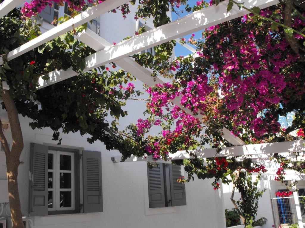 Milos Bay Suites 아다마스 외부 사진